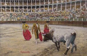 Corrida Bull Fight Estocada