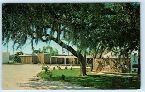 LARGO, FL Florida ~ Roadside PALM GARDEN RESTAURANT c1950s  Postcard