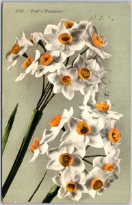 Poet's Narcissus, Botanical Flowers, Daffodil Pheasant's Eye, 3 Bulbs, Postcard