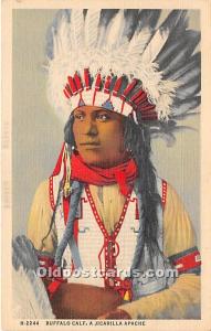 A Jicarilla Apache Buffalo, California, CA, USA Indian Postcard