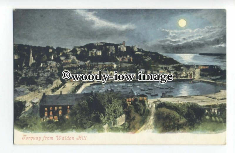 tq1421 - Moonlight View of Torquay and Harbour, from Waldon Hill - Postcard 