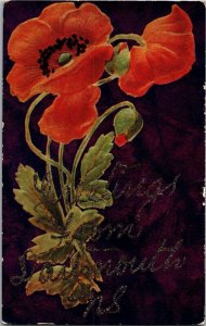 Poppies, Glitter Greetings From Nova Scotia Canada Vintage Postcard B33