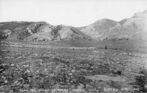 Buffalo Wyoming Trailing Sheep up Crazy Woman Hill Real Photo Postcard AA48637