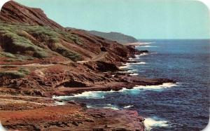 OAHU, HI Hawaii  SHORELINE DRIVE  Lava Cliffs  c1960's Chrome Postcard