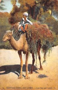 Egypt, Egypte, Africa Arab Boy and Camel  Arab Boy and Camel