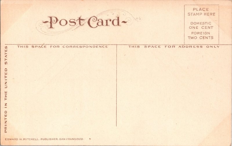 Salem Oregon State Capitol Building Dome Vintage Postcard Mitchell c1915