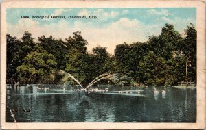 Lake Zoological Gardens Cincinnati OH Postcard PC137