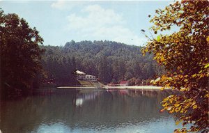 Hendersonville North Carolina 1960s Postcard Laurel Park Lake Inn 