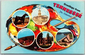 Tennessee TN, The Volunteer State, County Court House, Map, Vintage Postcard