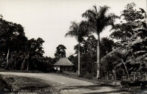 colombia, CALI, Cauca, Carretera Central, Un Paisaje Valle-Caucano (1930s) RPPC