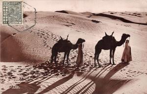 br104389 passage des dunes algerie  africa real photo camel