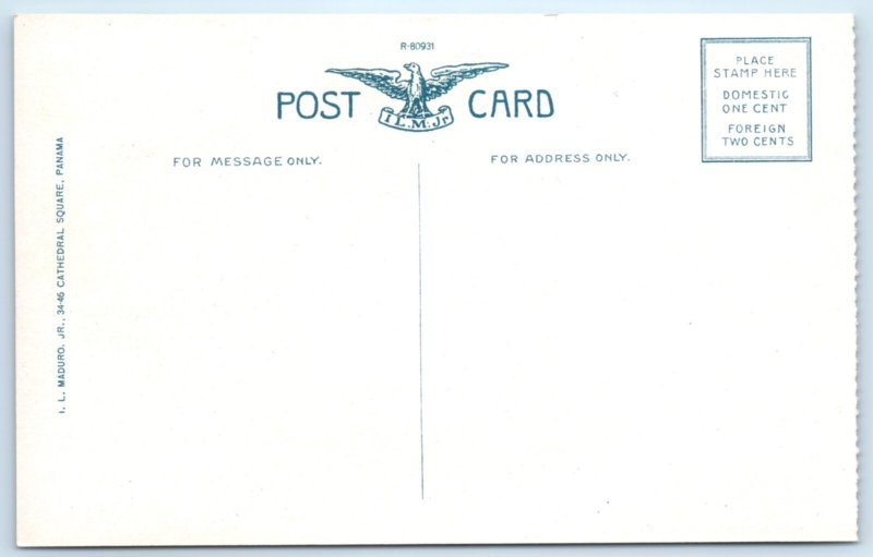 WWI USS North Carolina Battleship Navy Postcard