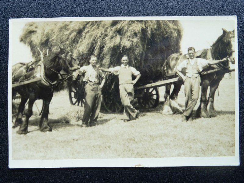 Farming Country Life SHIRE HORSE & COLLECTING THE HAY - Old RP Postcard