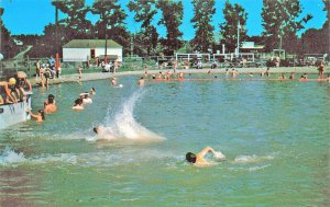 Presque Isle ME Municipal Swimming Pool Postcard