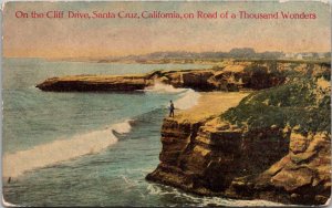 California Santa Cruz Scene On The Cliff Drive
