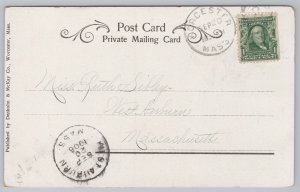 State View~Elm Park Worcester Massachusetts~Vintage Postcard