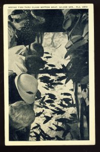 Silver Springs, Florida/FL Postcard, Seeing Fish Thru Glass Bottom Boat