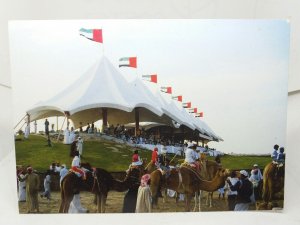 Camel Racing Dubai Vintage  UAE United Arab Emirates Postcard