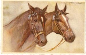 \\Two Horses Heads\ Beautiful Postcardd signed Tito Corbella