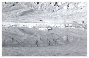 Old Cars Driving Through Death Valley California RPPC Postcard Repro