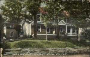 Brodhead Catskills NY Maple View House c1910 Postcard