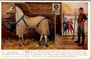 5A HORSE Briar Burlap Stable Blanket ADVERTISING Postcard Z5