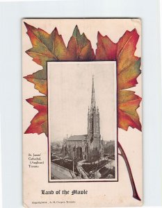Postcard Land of the Maple St. James Cathedral (Anglican) Toronto Canada
