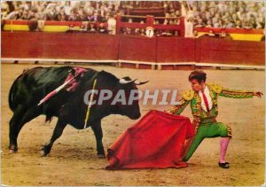 Modern Postcard El Cordobes Bull Bullfight