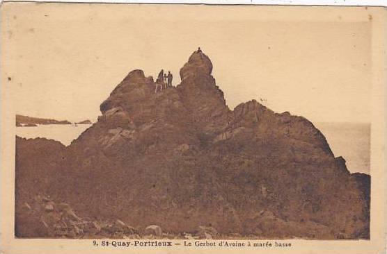 France Saint-Quay-Portrieux Le Gerbot d'Avoine a maree basse