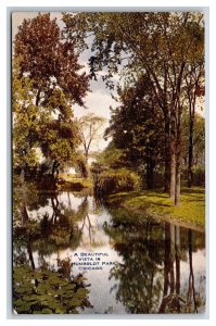 View in Humbolt Park Chicago IL Illinois UNP DB Postcard P22