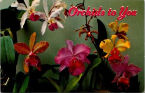 Hawaii - Orchids To You - [HI-090]