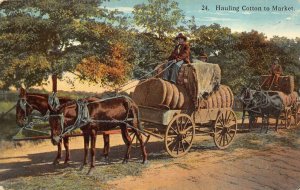 HAULING COTTON TO MARKET DONKEY CARRIAGE BLACK AMERICANA POSTCARD 1917