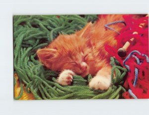 Postcard Yarn it, I'm Sleepy Kitten/Cat Picture/Photo