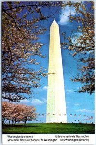 M-62359 Washington Monument Cherry Blossom Time Washington District of Columbia