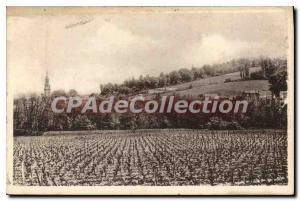 Postcard Old Verdelais Vue Generale And Vineyard