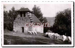 Postcard Old Chapel Argeles N D De Castere