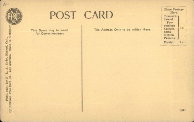 Merced CA May Day Court House Park c1910 Postcard