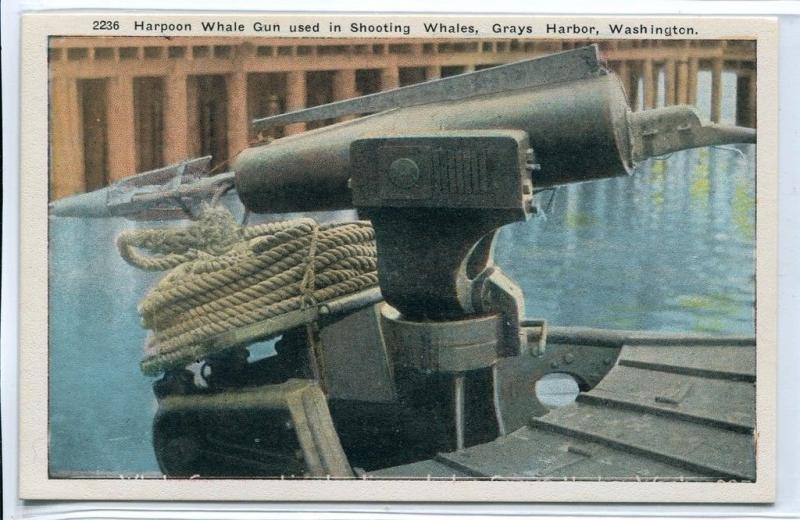 Harpoon Whale Gun Grays Harbor Washington 1920s postcard