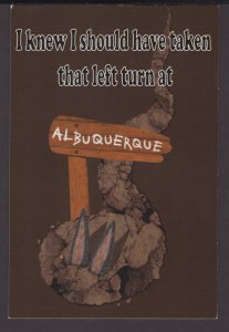 NM I knew I should have taken that left turn at ALBUQUERQUE - Cont'l