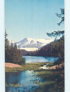 Pre-1980 MENDENHALL GLACIER AT LAKE Juneau Alaska AK F3952