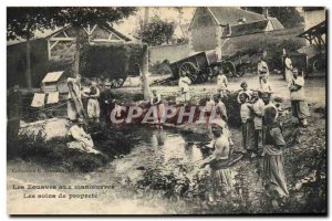 Old Postcard Army Zouaves maneuvers care of cleanliness