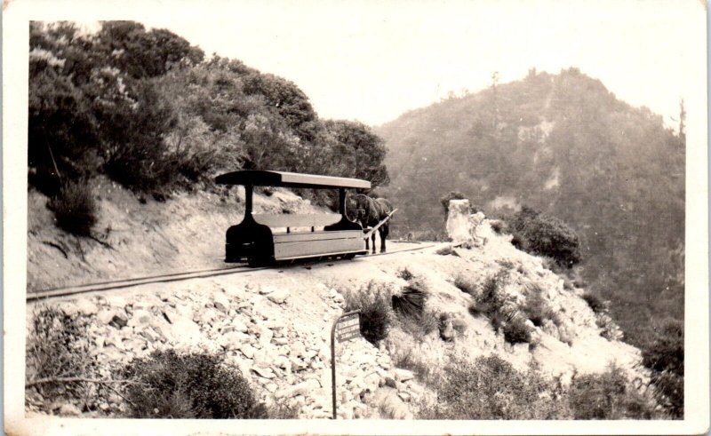 1920s Donkey Trolley Echo Castle Rock Utah RPPC Real Photo Postcard