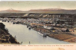 Yukon Canada White Horse Birds Eye View Vintage Postcard AA17850