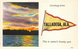 Lot158 Alabama usa greetings from talladega ala beauty spot