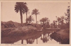 Algeria Riviere Dans L'Oasis