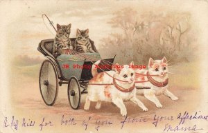 Helena Magurie, Albrecht & Meister, Anthropomorphic Cats Driving Carriage