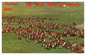 Postcard FARM SCENE Flit Hills Kansas KS AT2133