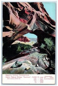 c1905 Nature's Curious Constructions Utah Natural Bridge Carolina UT Postcard