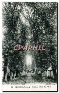 Chablis - Great Allee- Old Postcard