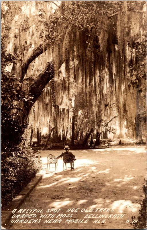 RPPC Under Moss-Draped Trees, Bellingrath Gardens Mobile AL c1941 Postcard J74